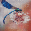 Dragonfly And Dandelion Diamond Paintings