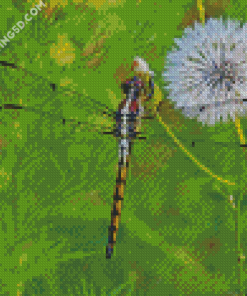 Dragonfly And Dandelion Diamond Paintings