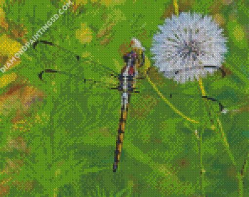 Dragonfly And Dandelion Diamond Paintings