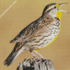 Meadowlarks Diamond Paintings