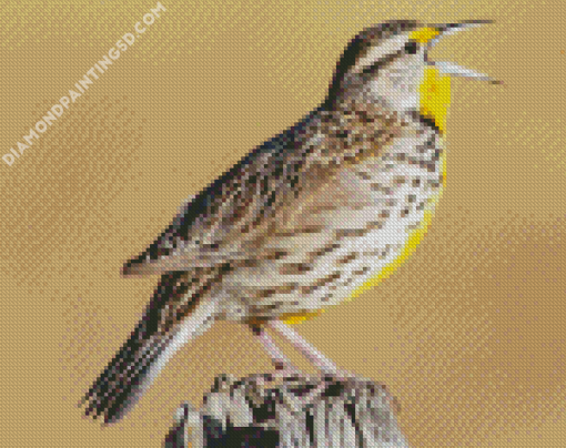 Meadowlarks Diamond Paintings