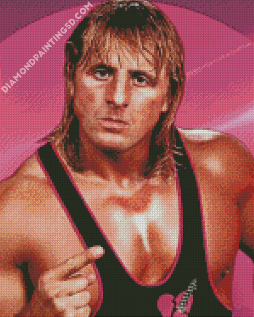 WWE Owen Hart Wrestler Diamond Paintings