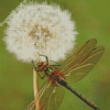 Aesthetic Dragonfly And Dandelion Diamond Paintings