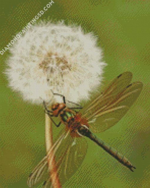 Aesthetic Dragonfly And Dandelion Diamond Paintings