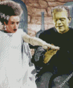 Aesthetic Bride Of Frankenstein Diamond Paintings