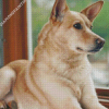 Aesthetic Carolina Dog Diamond Paintings