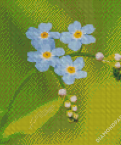 Beautiful Forget Me Not Flowers Diamond Paintings