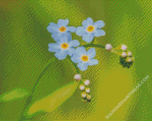 Beautiful Forget Me Not Flowers Diamond Paintings