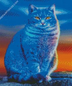 Blue Cat Diamond Paintings