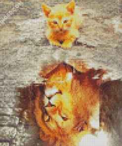 Cat Water Reflection Diamond Paintings