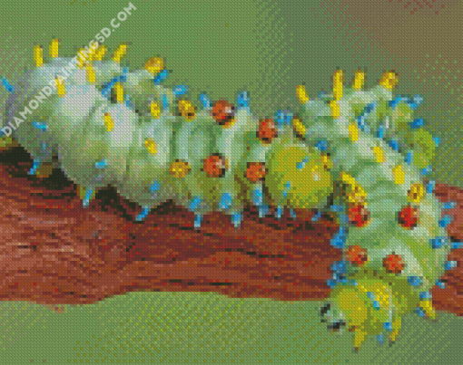 Caterpillar Insect Diamond Paintings