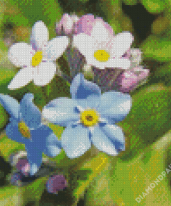 Forget Me Not Flowers Diamond Paintings