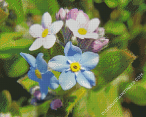 Forget Me Not Flowers Diamond Paintings