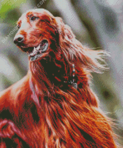 Irish Setter Dog Diamond Paintings