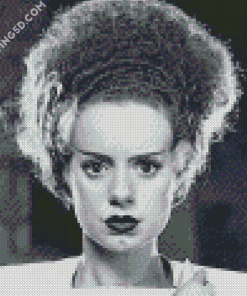 Monochrome Bride Of Frankenstein Diamond Paintings