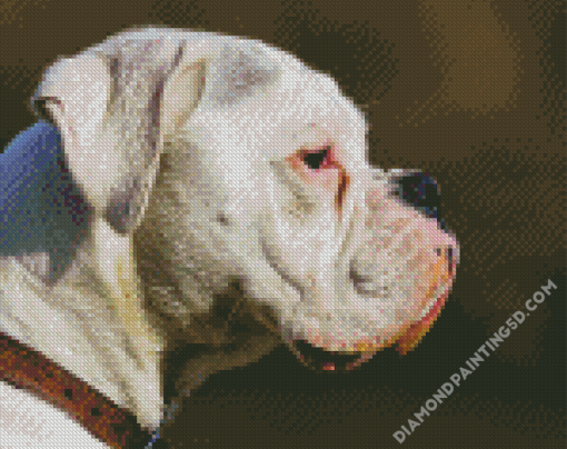 White Boxer Side Face Diamond Paintings