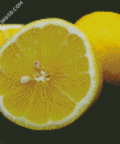 Yellow Fruit Lemon Diamond Paintings