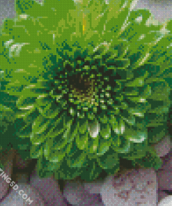 Aesthetic Green Flowers Diamond Paintings