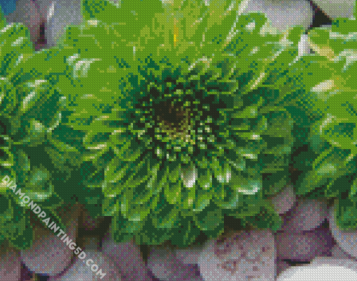 Aesthetic Green Flowers Diamond Paintings