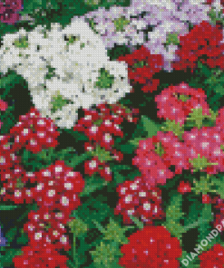 Beautiful Colorful Verbena Flowers Diamond Paintings