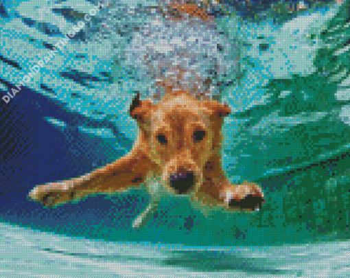 Beige Dogs In Pool Diamond Paintings