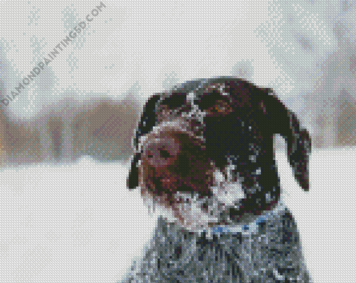 Brown Wire Hair Dog In Snow Diamond Paintings