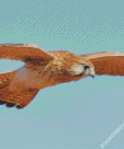 Flying Kestrel Bird Diamond Paintings