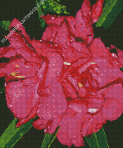 Pink Flowers Oleander Diamond Paintings