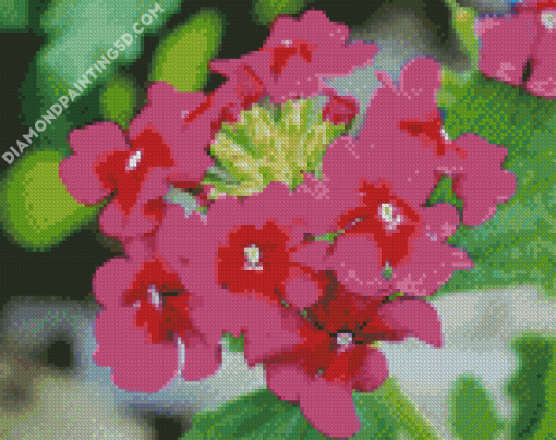 Pink Vervain Flowers Diamond Paintings