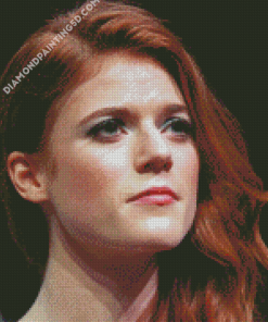 The Actress Rose Leslie Diamond Paintings