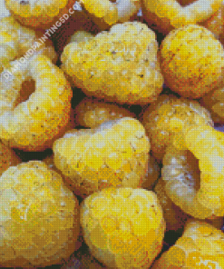 Yellow Raspberry Fruit Diamond Paintings