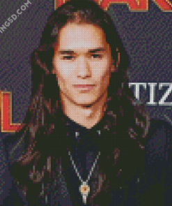 Aesthetic Boobo Stewart Diamond Paintings