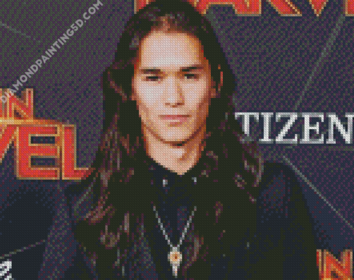 Aesthetic Boobo Stewart Diamond Paintings