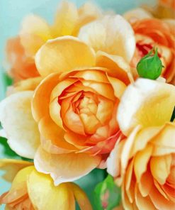 Aesthetic Peach Roses Diamond Paintings