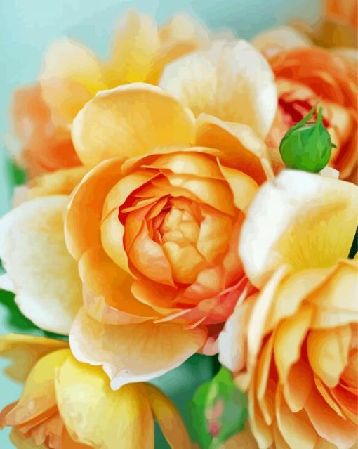 Aesthetic Peach Roses Diamond Paintings