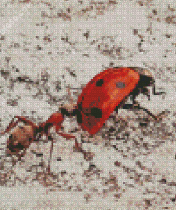 Aesthetic Ant And Ladybug Diamond Paintings