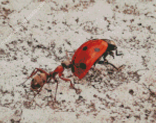 Aesthetic Ant And Ladybug Diamond Paintings