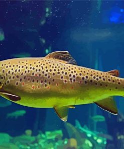 Aesthetic Brown Trout Diamond Paintings