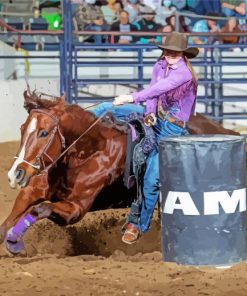 Amanda Welsh Barrel Racing Diamond Paintings