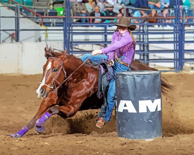 Amanda Welsh Barrel Racing Diamond Paintings