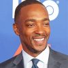 American Actor Anthony Mackie Diamond Paintings