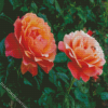 Orange Floribundas Diamond Paintings