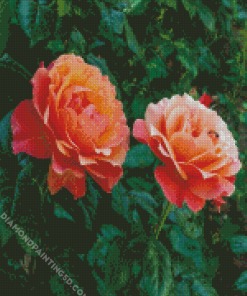 Orange Floribundas Diamond Paintings