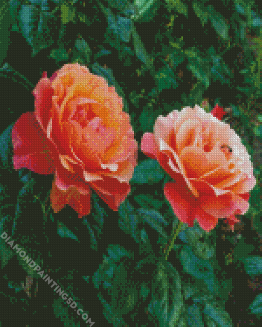 Orange Floribundas Diamond Paintings