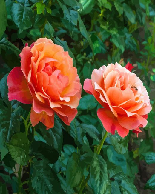 Orange Floribundas Diamond Paintings