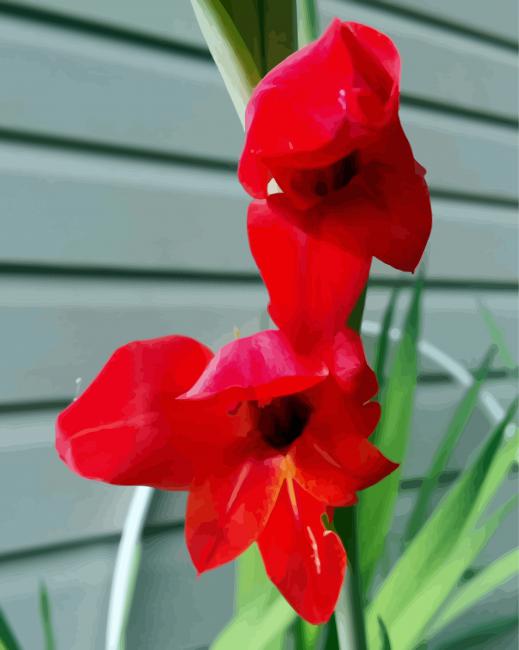 Beautiful Red Gladiola Diamond Paintings