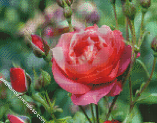 Blooming Floribunda Diamond Paintings