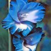 Blue Gladiola Diamond Paintings