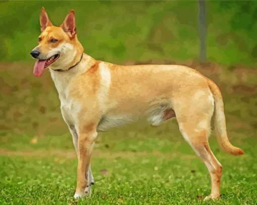 Carolina Dog Diamond Paintings