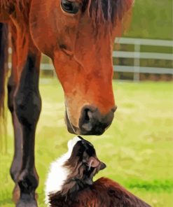 Cat And Horse In Farm Diamond Paintings